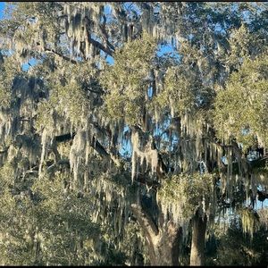 Meet your Posher, Aung